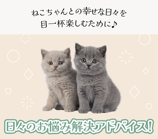 ねこちゃんの体調トラブル、病院に行くべき？迷ったときの判断と日頃の備え