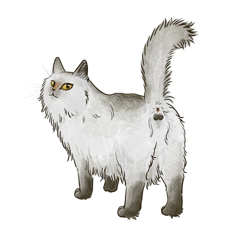 ねこの下部尿路感染症について