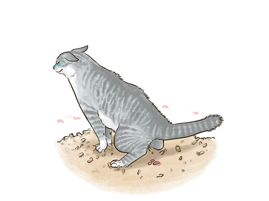 ねこの血尿で考えられる病気とは？採尿や治療法まで解説。