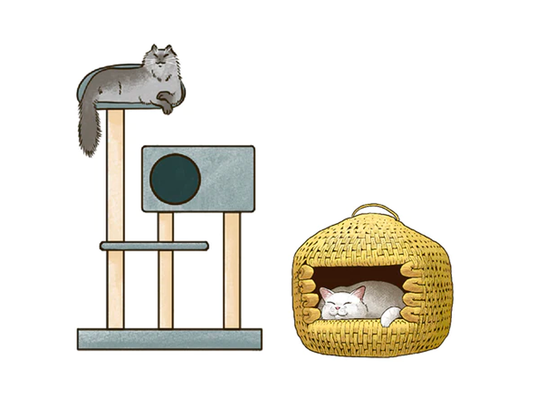 ねこの複数頭飼育で気をつけること