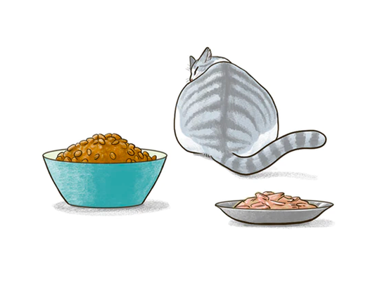 食欲の低下について