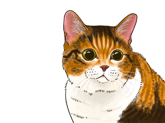 慢性腎臓病にも関係が？ねこの高血圧症とは。血圧の測り方や原因、治療について解説