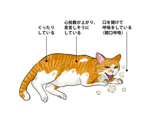 肺炎について
