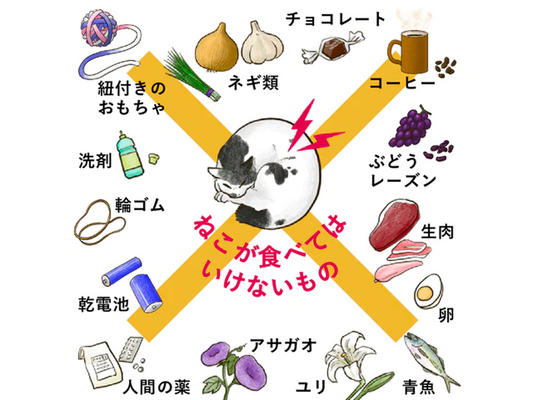ねこが中毒を引き起こす可能性があるもの