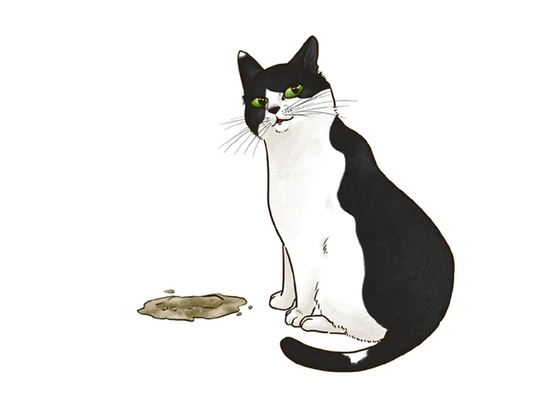 長毛種や毛繕いが好きなねこは要注意？毛玉が腸閉塞を引き起こす、毛球症について。