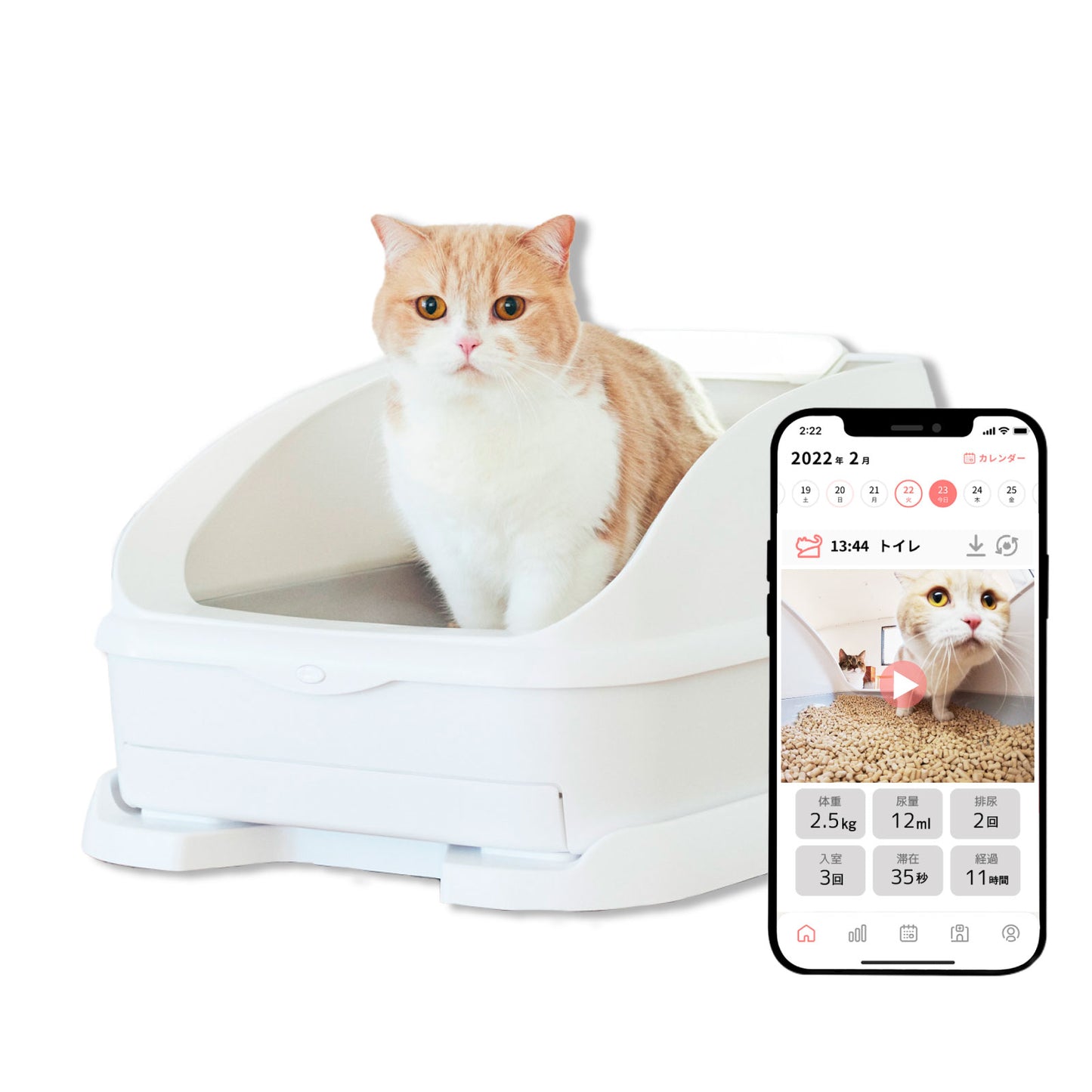 Toletta本体【追加購入】＊月額プランご利用者様向け