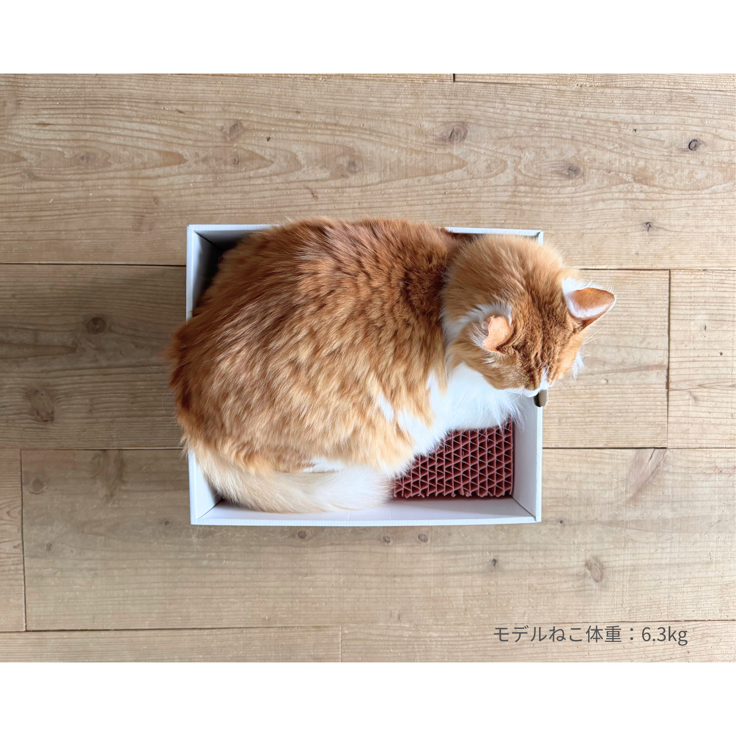 爪とぎBOX