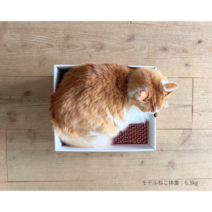 爪とぎBOX